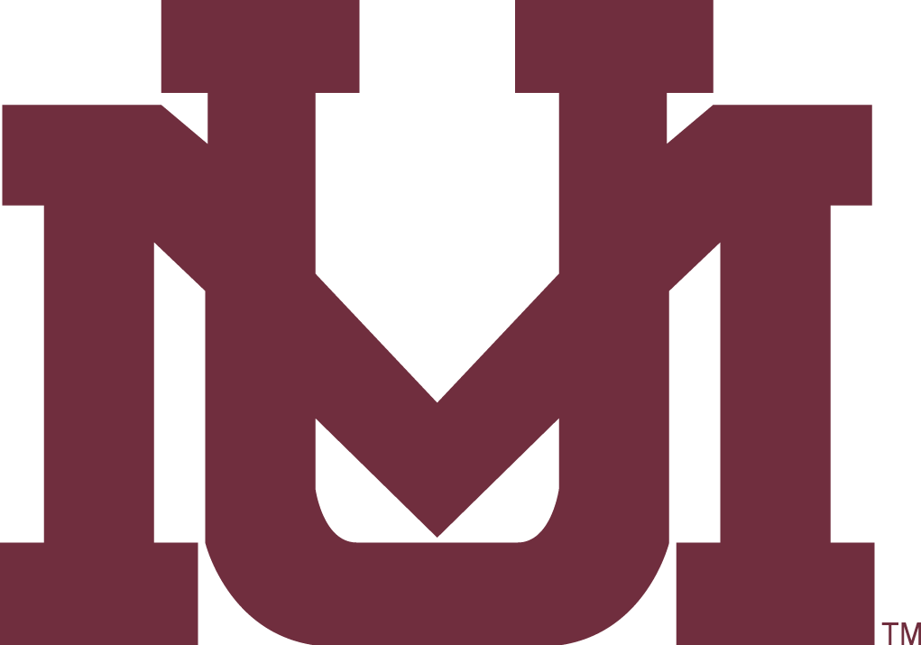 Montana Grizzlies 1996-Pres Secondary Logo v3 DIY iron on transfer (heat transfer)